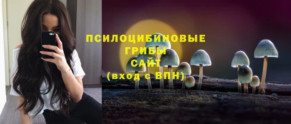 прущие грибы Алексеевка