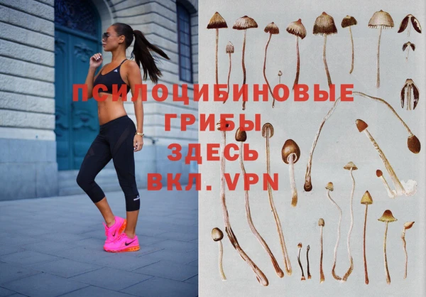 спиды Алексин