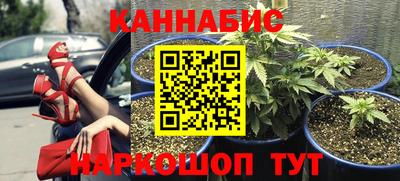 мяу мяу мука Кинель