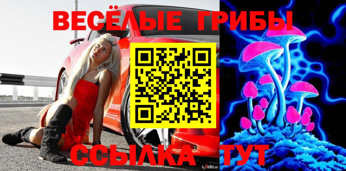 Псилоцибиновые грибы прущие грибы Михайловск