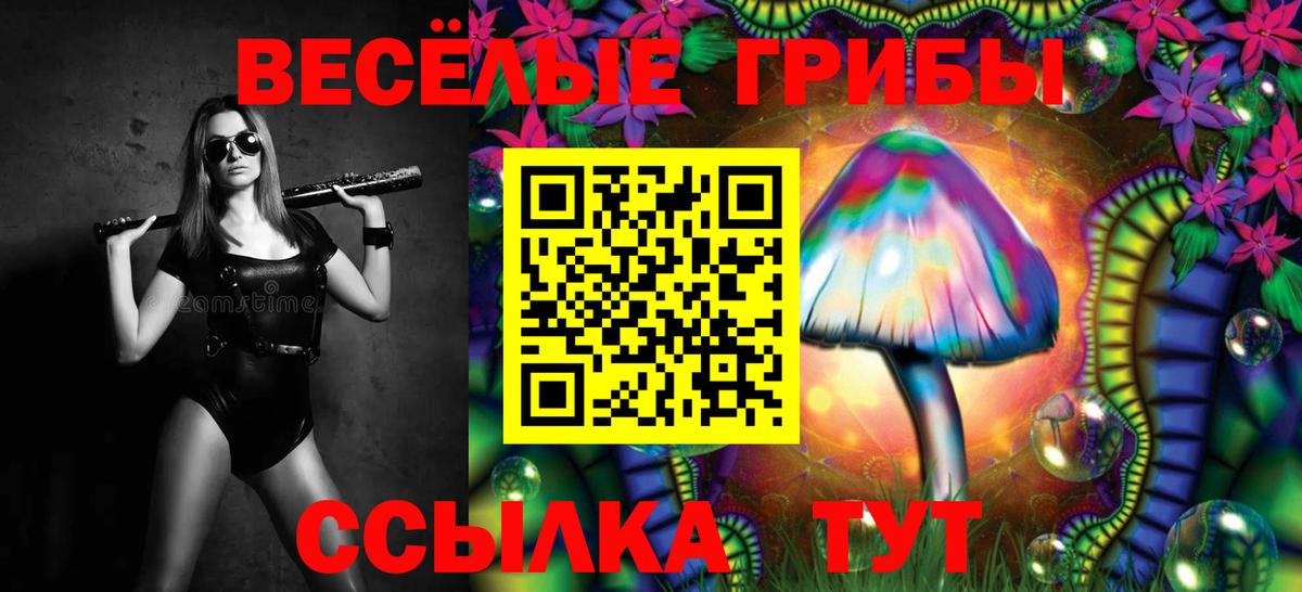 Псилоцибиновые грибы Magic Shrooms  Вход с VPN  Михайловск 